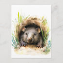 Search for peeking postcards Wildlife