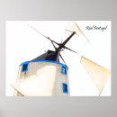 Search for wind art White
