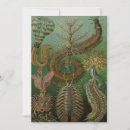 Search for worms invitations Insects