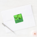 Search for cute clover stickers Leaves