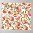 Search for peach floral posters Pattern