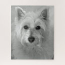Search for westie puzzles White