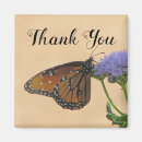 Search for monarch butterfly magnets Insect