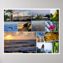 Search for kona art Kailua