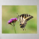 Search for entomology art Wildlife