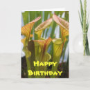 Search for carnivore cards Nature