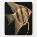 Search for angelfish mousepads Aquarium