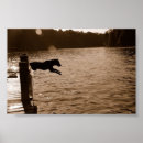 Search for rescues art Hound