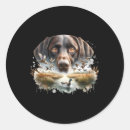 Search for labrador duck stickers Wildlife