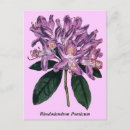 Search for bag postcards Flowers