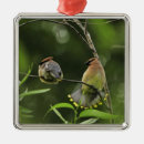Search for portland oregon christmas tree decorations Usa