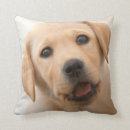 Search for yellow labrador cushions Pets