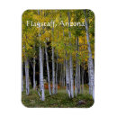 Search for serene magnets Scenic