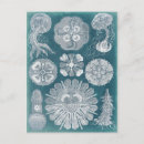 Search for blueprint Teal