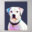 Search for pit bulls posters Animal