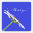 Search for single flower stickers Floral