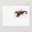 Search for frightened postcards Scary