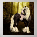 Search for gypsy vanner art Pony