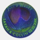 Search for peacock eye stickers Feather