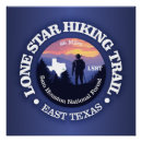 Search for lone star posters Texas