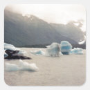 Search for ocean preservation stickers Global warming