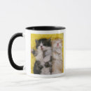 Search for breeders mugs Animal