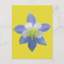 Search for columbine postcards Flower