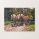 Search for draft horse Animals