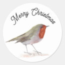 Search for winter birds stickers Animals
