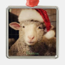 Search for sheep christmas tree decorations Lamb