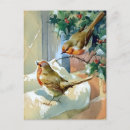 Search for winter robin christmas cards Holly