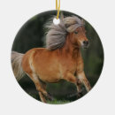 Search for miniature christmas tree decorations Horse