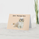 Search for shih tzu cards Shitzu