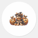 Search for challenge stickers Women
