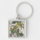 Search for parakeet key rings Illustration