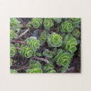 Search for realistic puzzles Nature