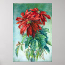Search for poinsettias posters Christmas flowers
