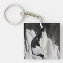 Search for black and white tuxedo cat key rings Adorable