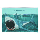 Search for shark pillowcases Illustration
