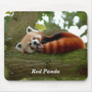 Search for panda mousepads Tree
