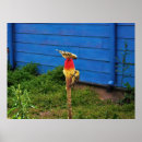 Search for finches posters Wildlife