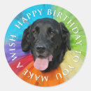 Search for labs stickers Labrador retriever