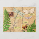Search for dragonfly drawing postcards Insects
