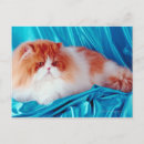 Search for studio cards invites Lying down