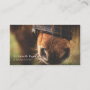 Search for equine image business cards Equestrian