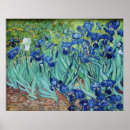 Search for vintage irises posters Vincent