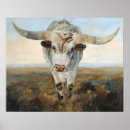 Search for longhorn cattle posters Horns