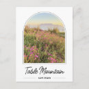 Search for table mountain souvenirs South africa