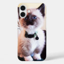 Search for blue eyed iphone cases Kitty
