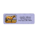 Search for wild horse return address labels Stallion